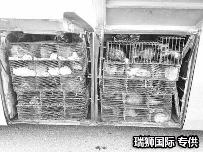 集裝箱的類型 集裝箱的種類 集裝箱用途 集裝箱規(guī)格 集裝箱箱型尺寸對(duì)照表、集裝箱尺寸表、集裝箱規(guī)格有幾種尺寸
