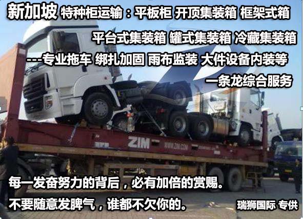 新加坡專線，新加坡包稅專線，新加坡雙清專線，新加坡雙清快遞，新加坡包稅快遞，電子煙到新加坡雙清快遞，煙油到新加坡雙清包稅空運快遞