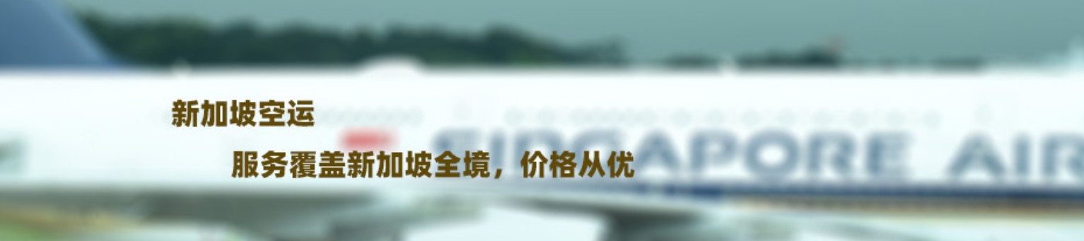 新加坡專線 新加坡海運船期查詢 新加坡空運貨物追蹤 新加坡海空聯(lián)運雙清包稅門到門