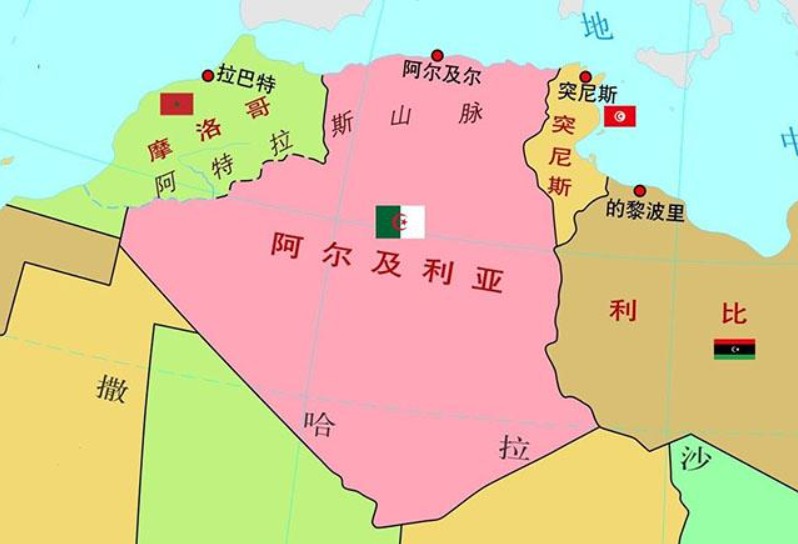 阿爾及利亞專線 阿爾及利亞海運(yùn)船期查詢 阿爾及利亞空運(yùn)貨物追蹤 阿爾及利亞?？章?lián)運(yùn)雙清包稅門(mén)到門(mén)